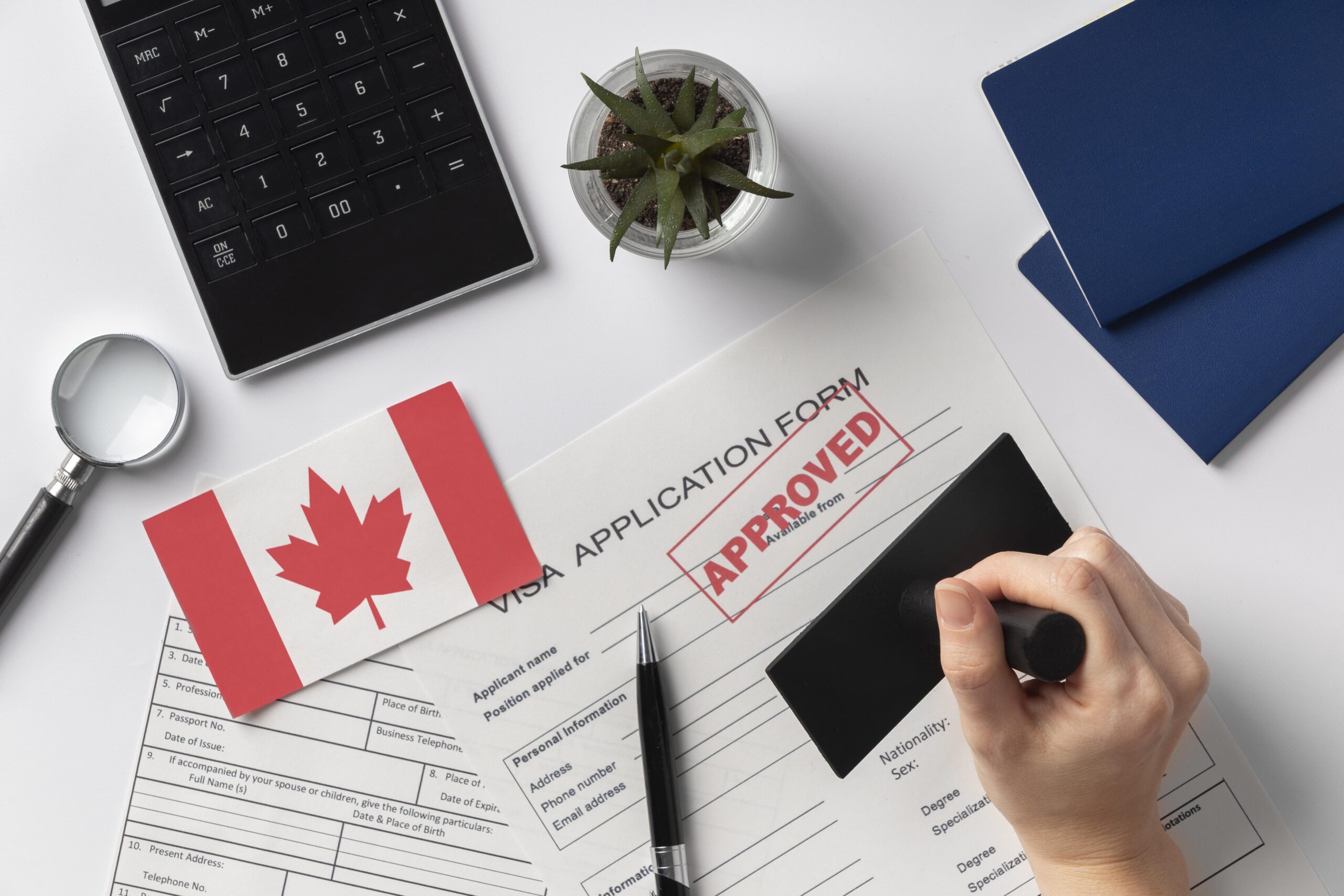 Explore Temporary Visa options with guidance from our Immigration Consultant team at MapleMate Immigration
